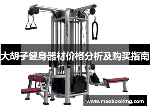 大胡子健身器材价格分析及购买指南