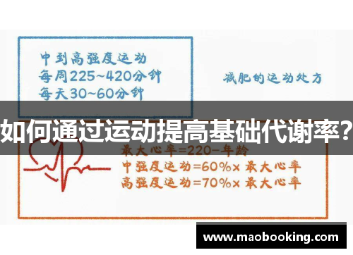 如何通过运动提高基础代谢率？