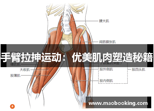 手臂拉抻运动：优美肌肉塑造秘籍